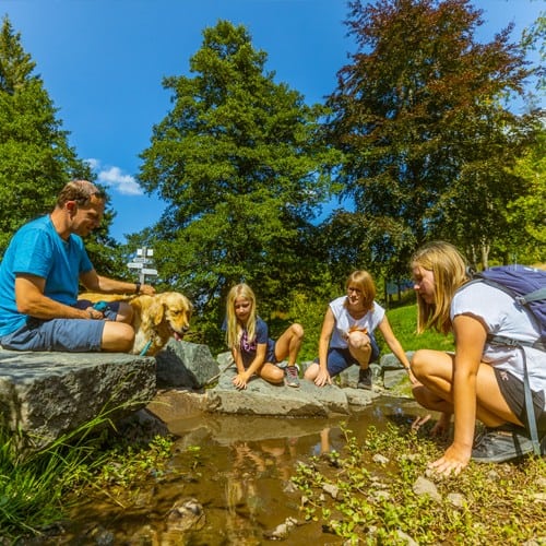 Blockhaus Willingen Familienurlaub