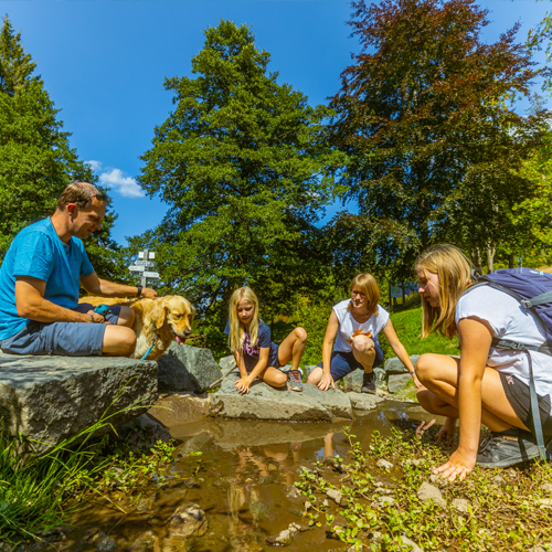 Blockhaus Willingen Familienurlaub