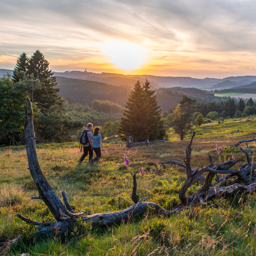 Blockhaus Willingen Wandern