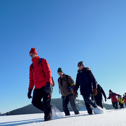 Blockhaus Willingen Winterwandern